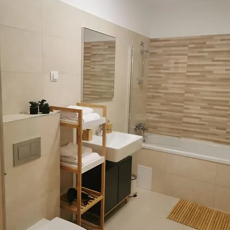 Getaway Discrete And Cozy 公寓 布拉索夫